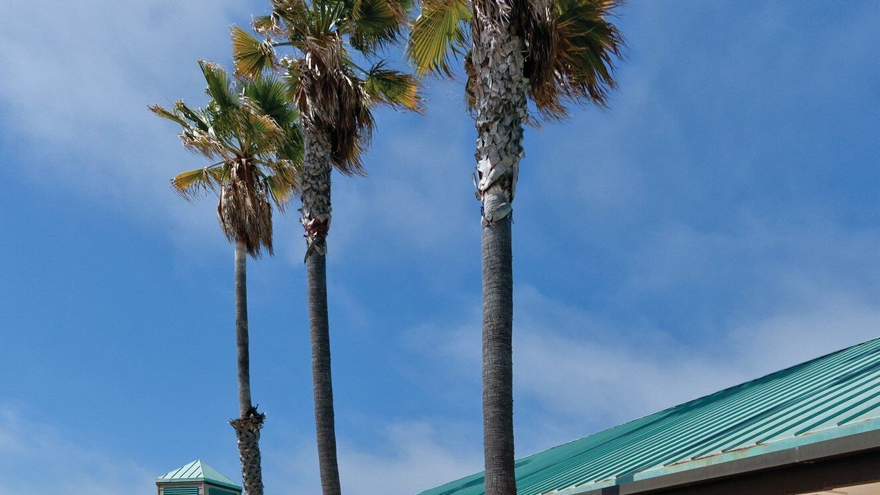 Photo of Patio Balcony in Downtown