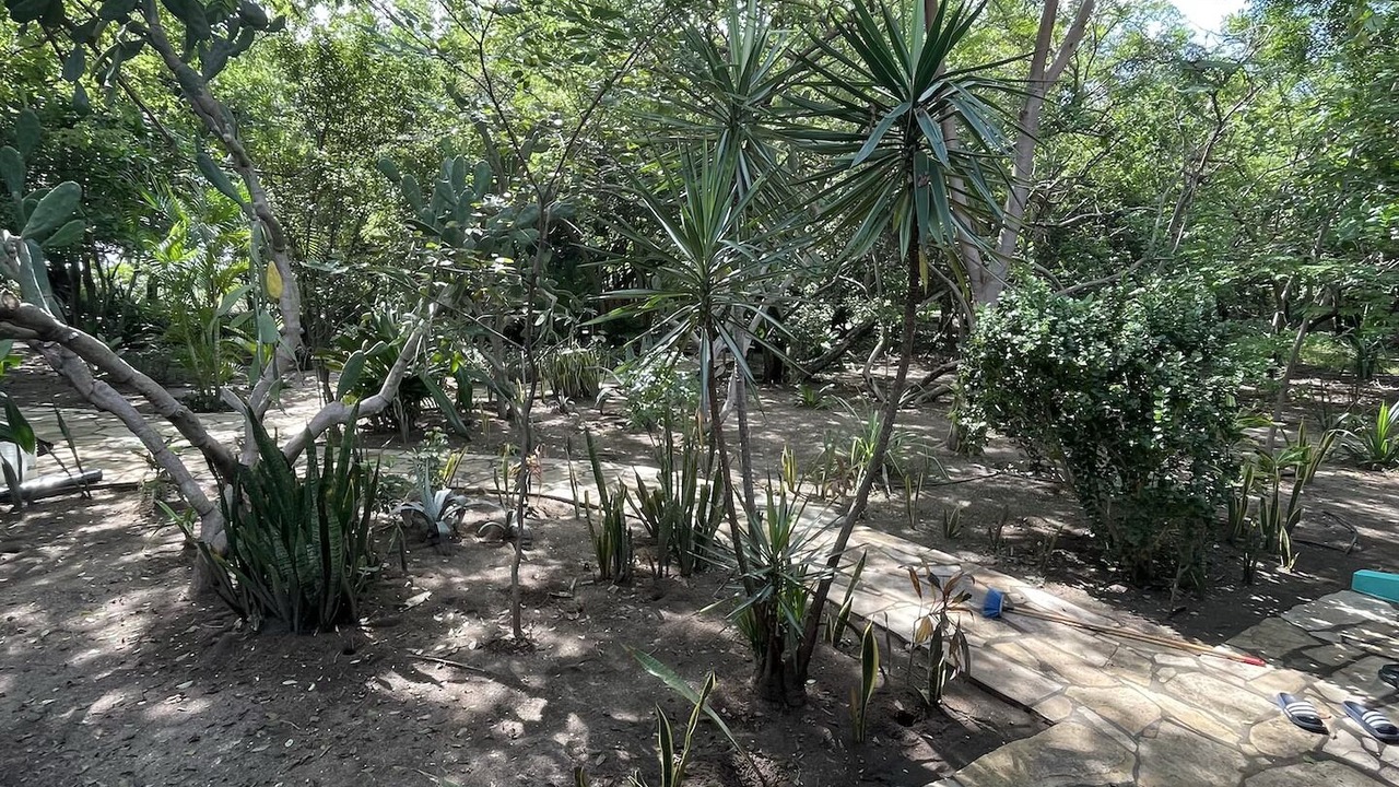 Photo of Outdoor in San Diego