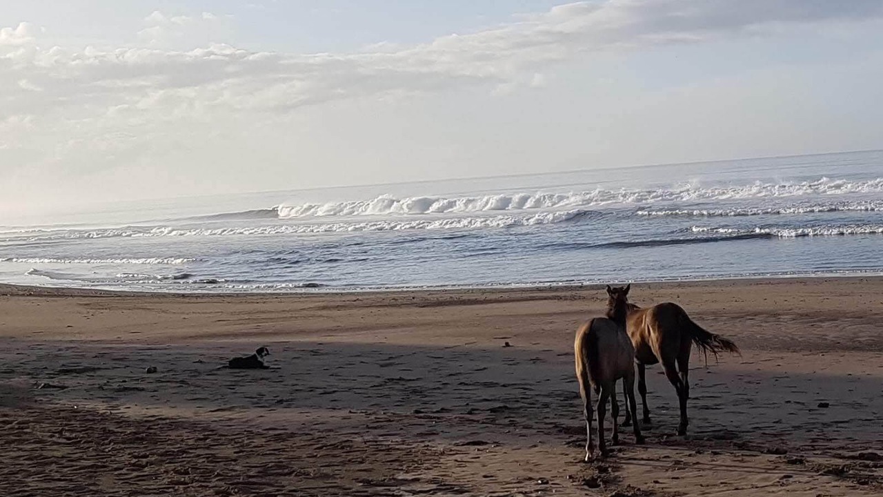 Photo of Others in Popoyo