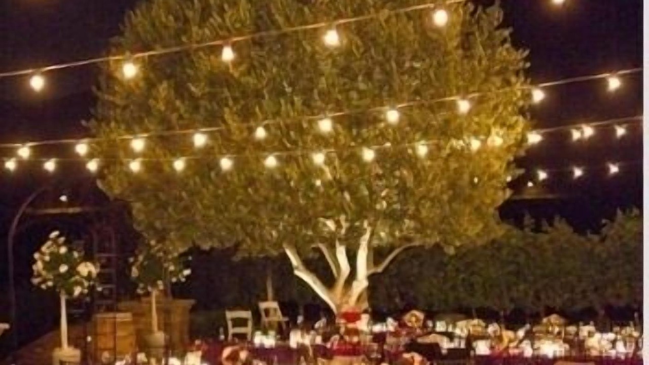 Photo of Outdoor in Central Malibu