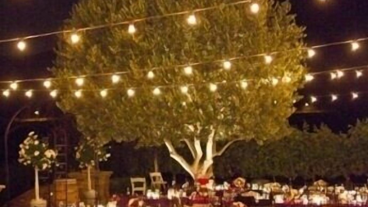 Photo of Outdoor in Central Malibu