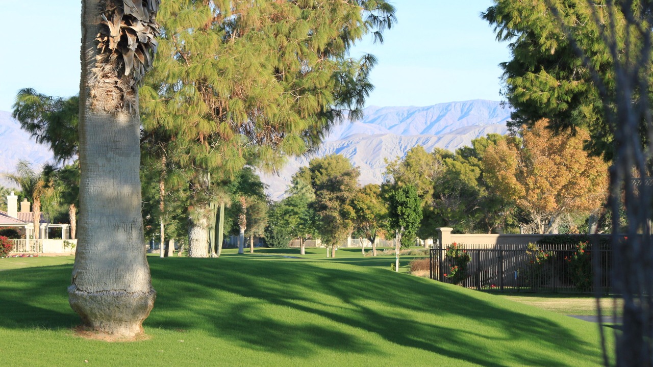 Photo of Others in Indio