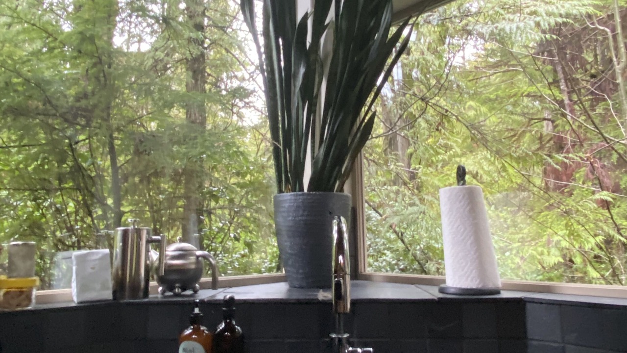 Photo of Kitchen in Tofino