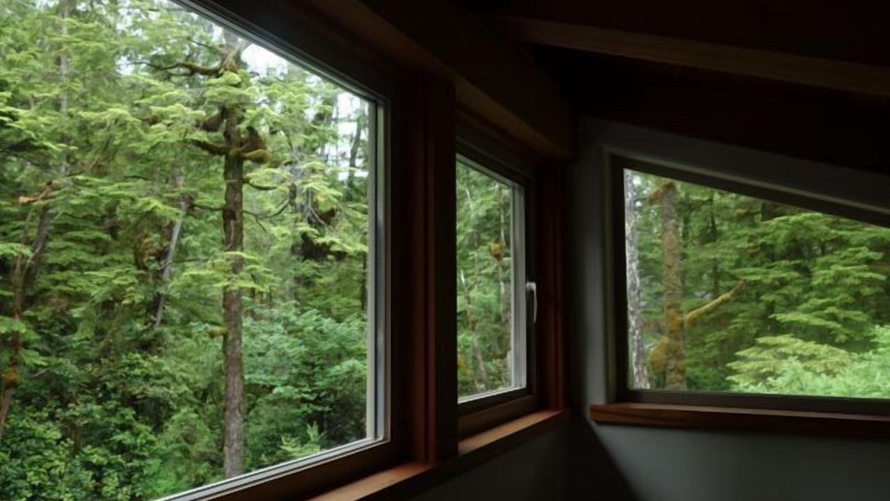Photo of Others in Tofino