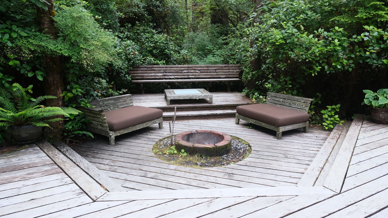 Photo of Others in Tofino