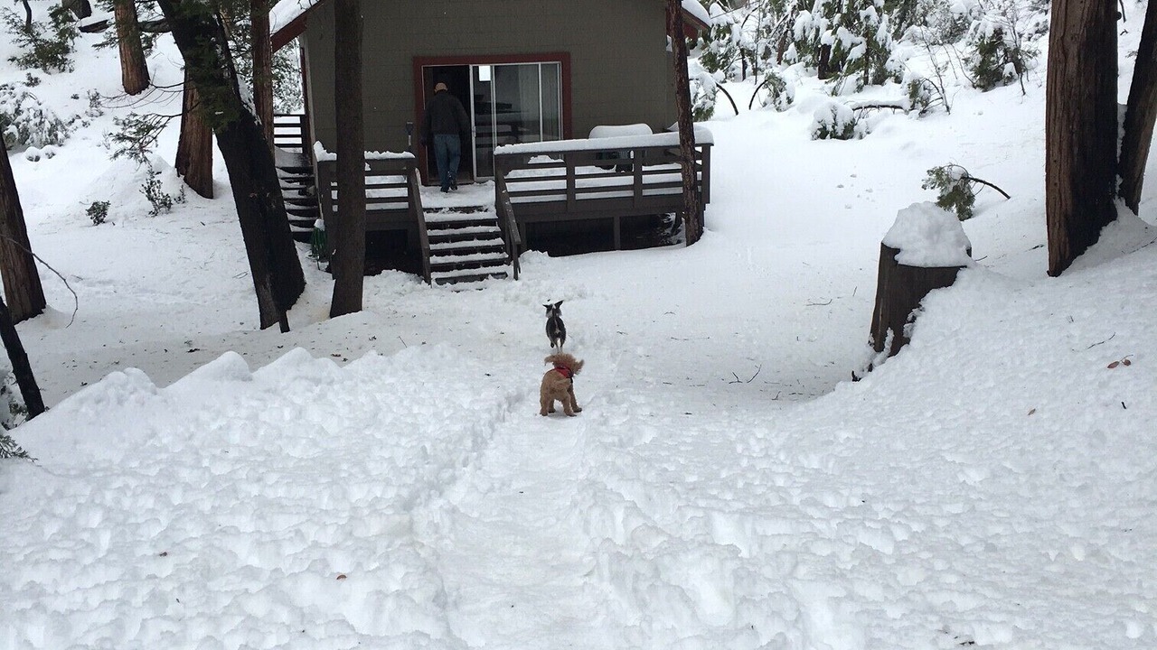 Photo of Others in Idyllwild