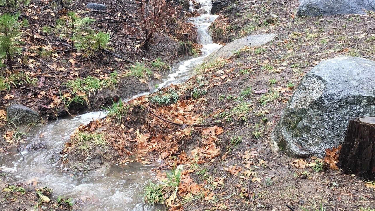 Photo of Others in Idyllwild