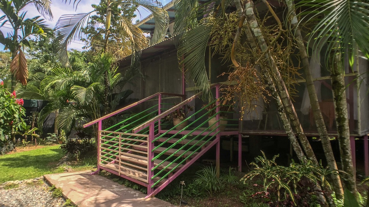 Photo of Outdoor in Puerto Viejo de Talamanca