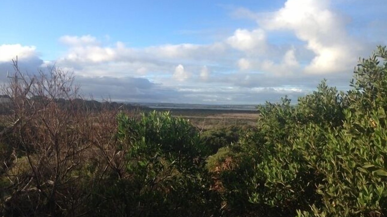 Photo of Outdoor in Venus Bay