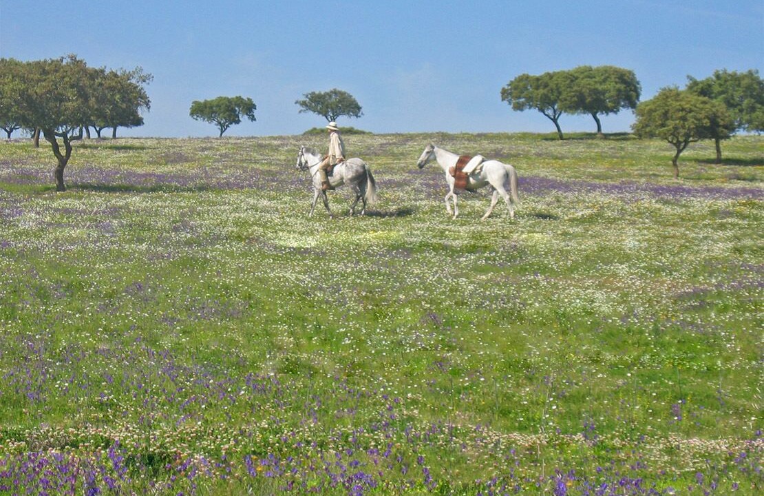 Photo of Outdoor in Terena