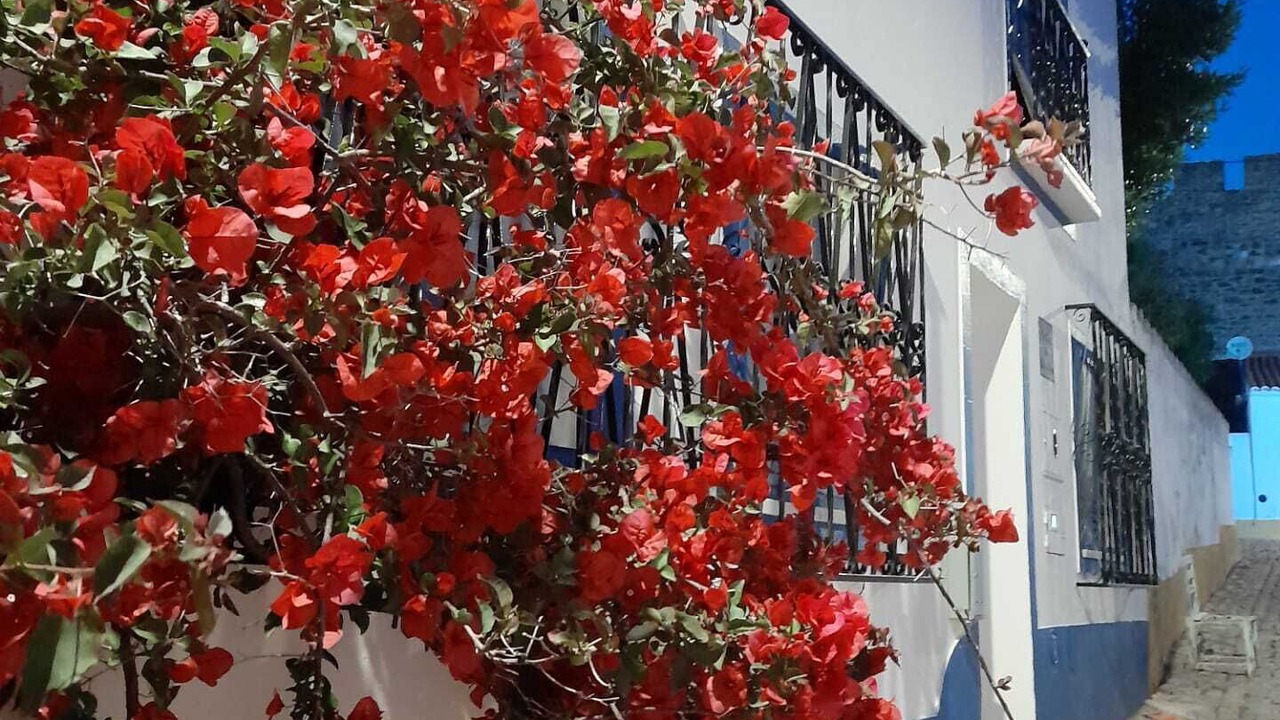 Photo of Outdoor in Terena