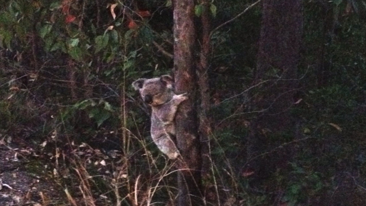 Photo of Outdoor in Tallai