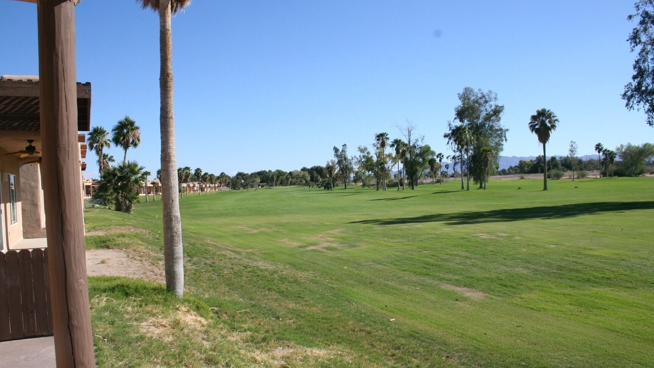 Photo of Others in Needles