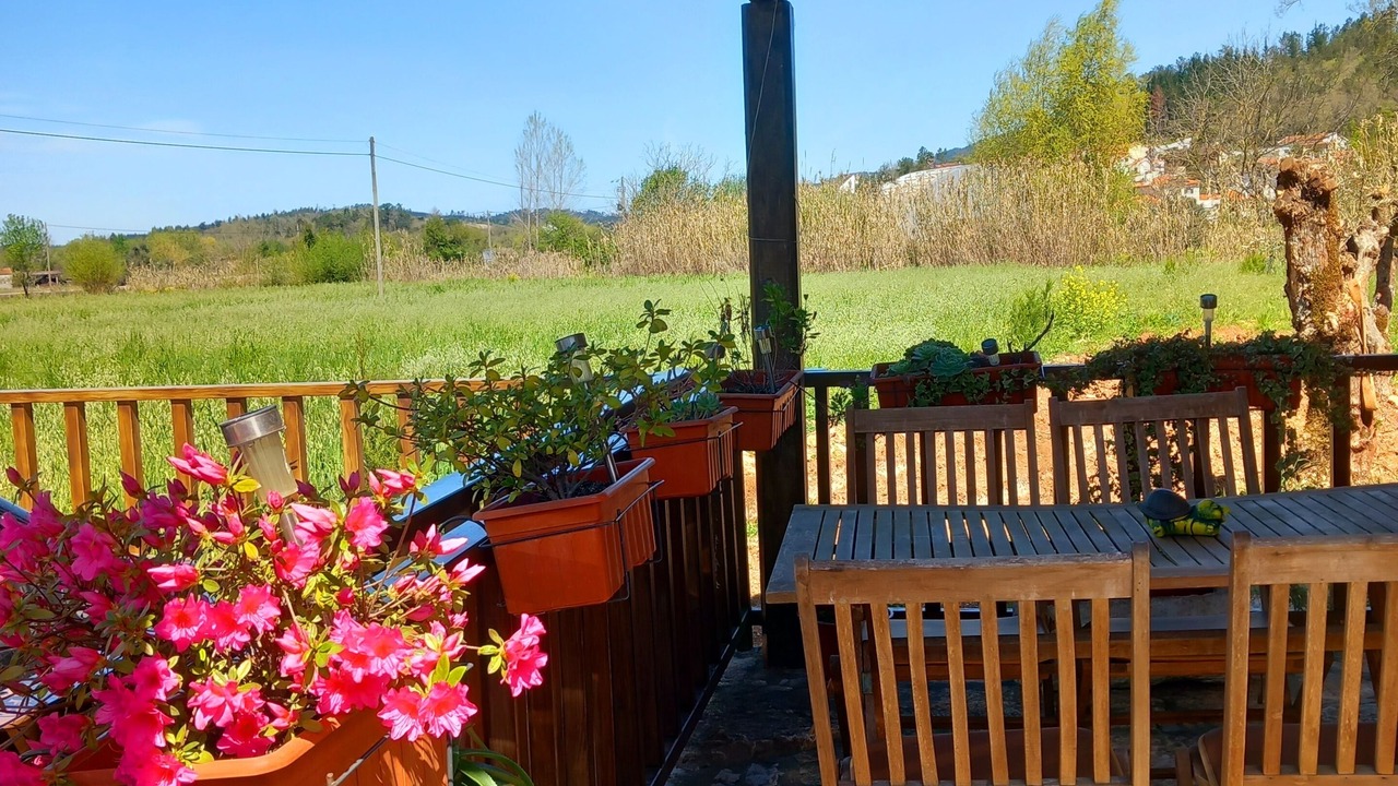 Photo of Outdoor in Penela