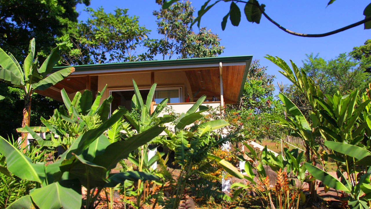 Photo of Outdoor in San Pedro