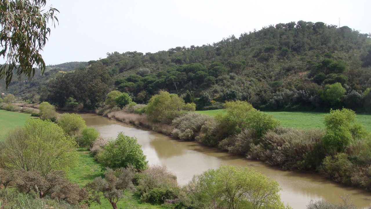 Photo of Outdoor in Sao Salvador