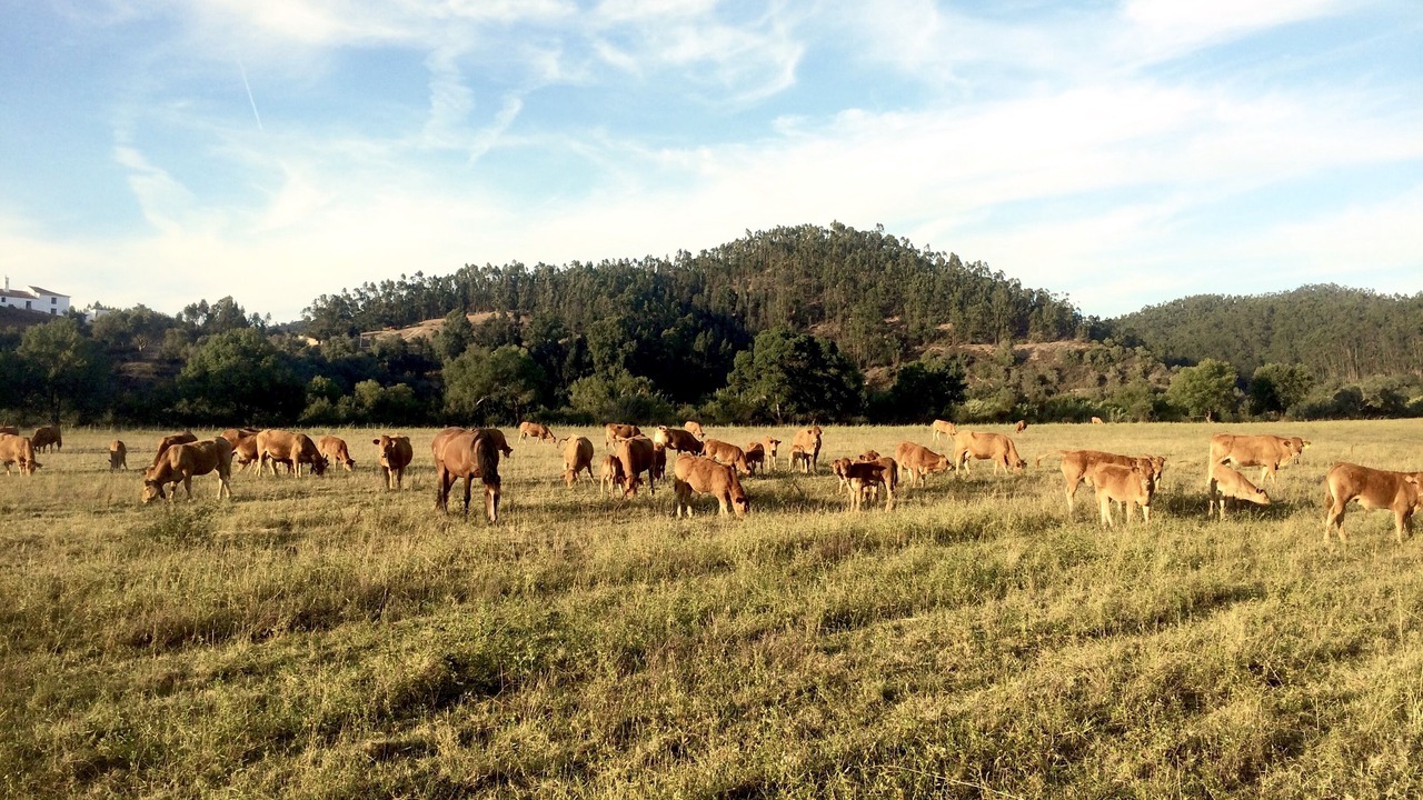 Photo of Outdoor in Sao Salvador