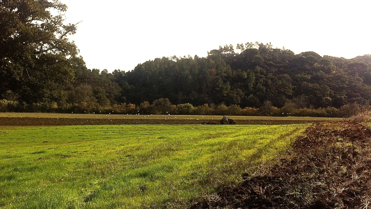 Photo of Outdoor in Sao Salvador