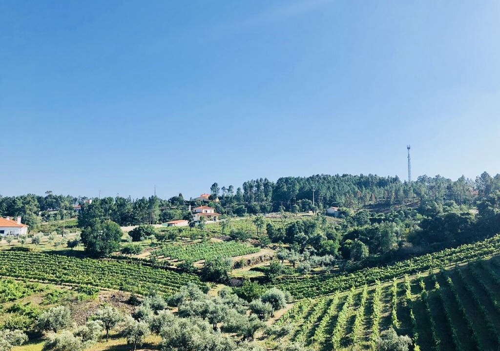 Photo of Outdoor in Proenca-a-Nova
