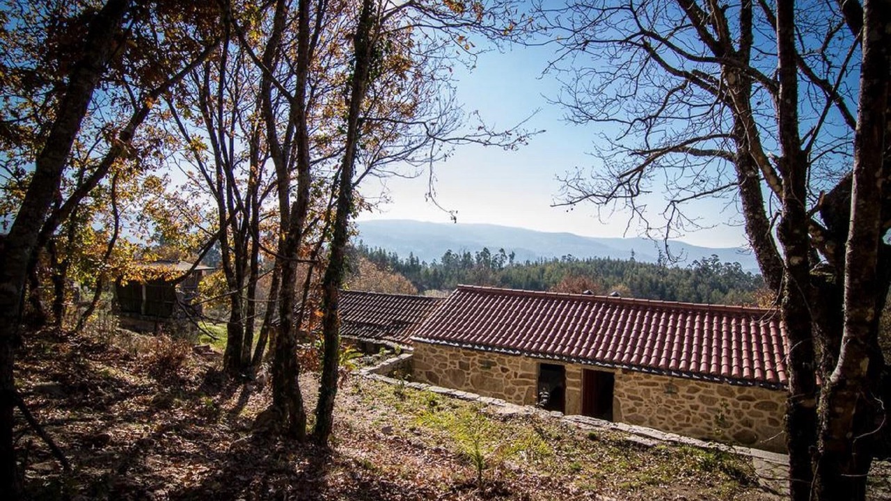 Photo of Outdoor in Macieira de Cambra
