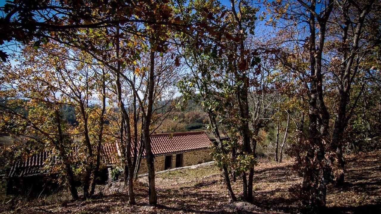 Photo of Outdoor in Macieira de Cambra