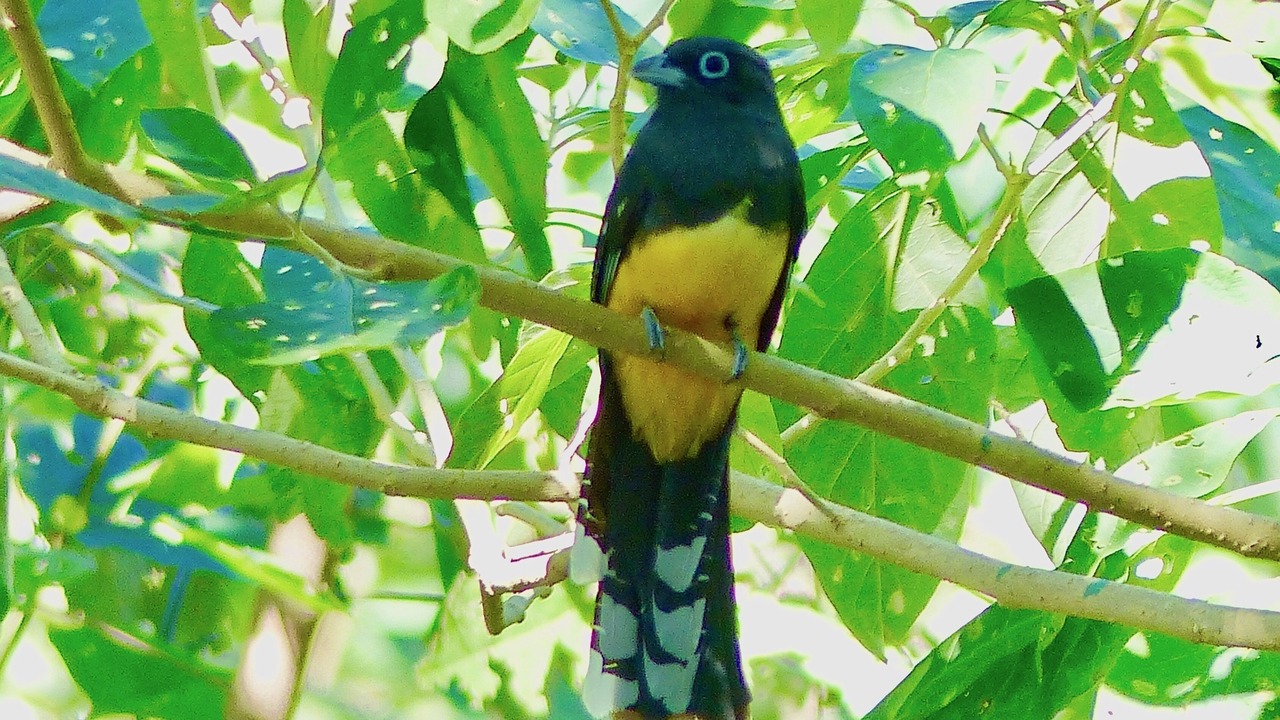 Photo of Others in San Juan del Sur