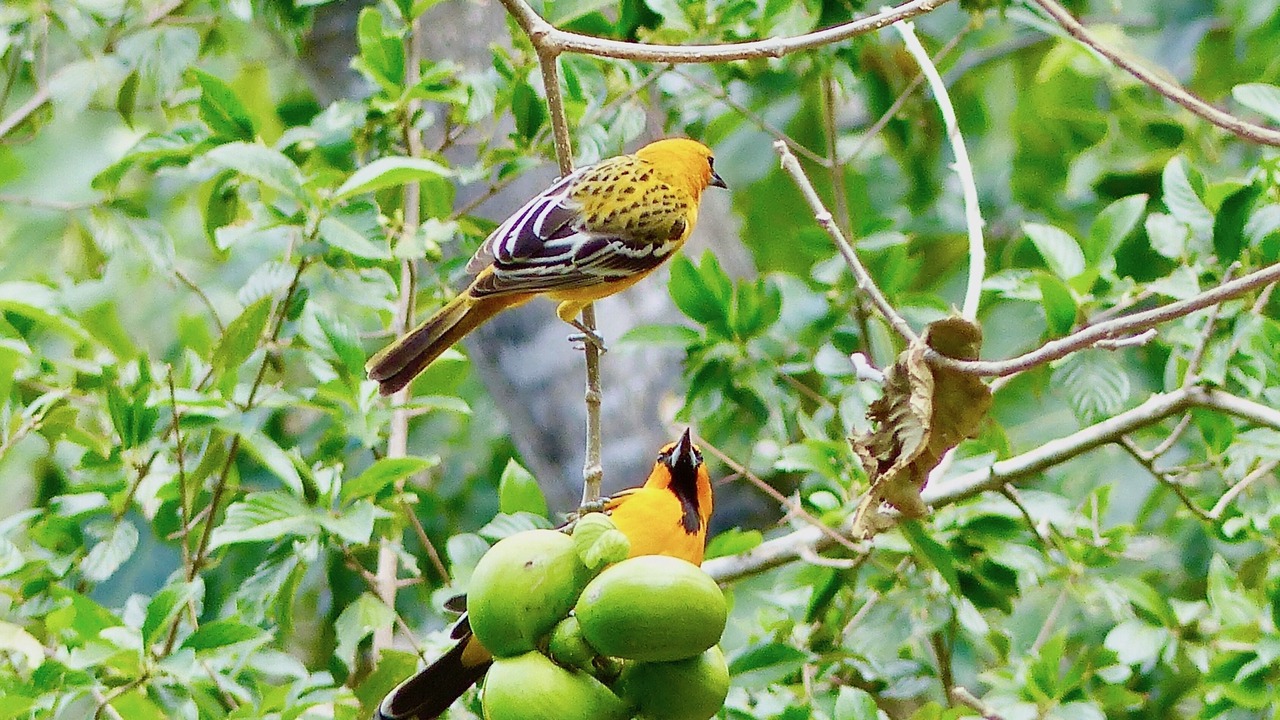 Photo of Others in San Juan del Sur