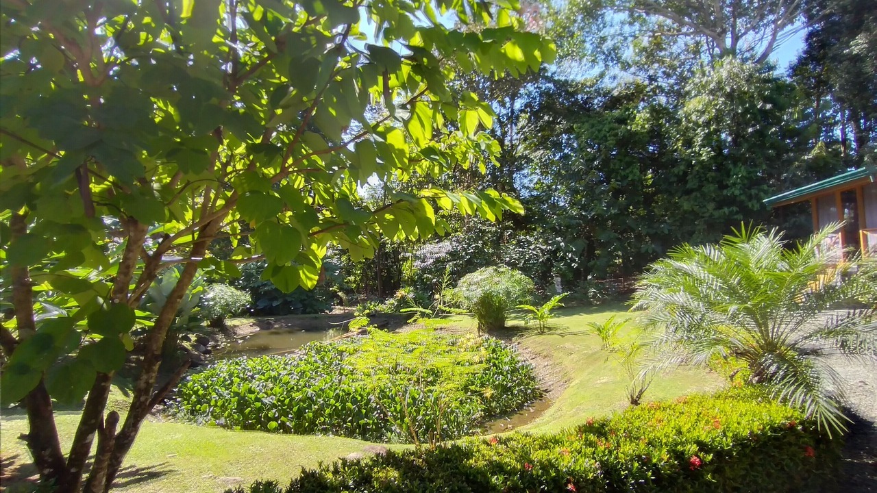 Photo of Outdoor in Ojochal
