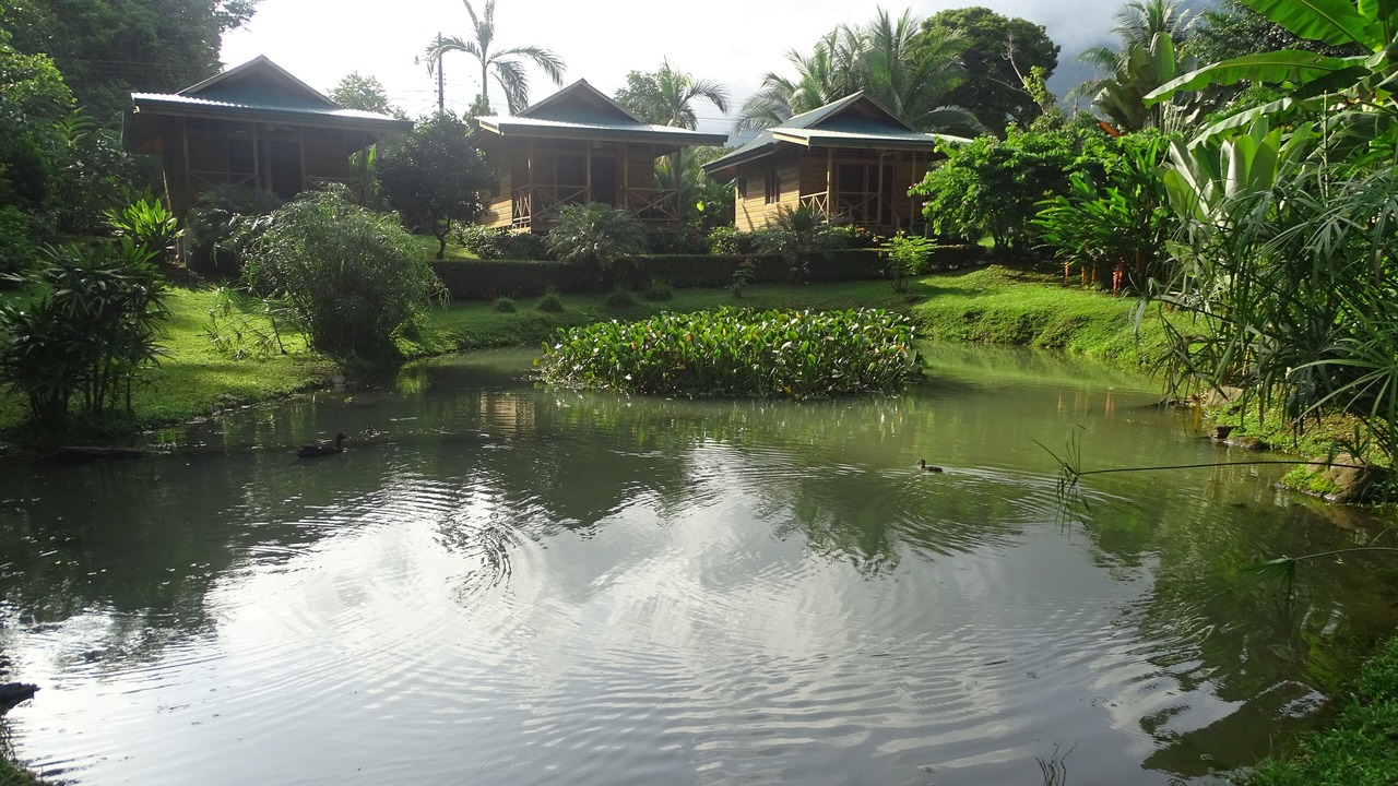 Photo of Outdoor in Ojochal