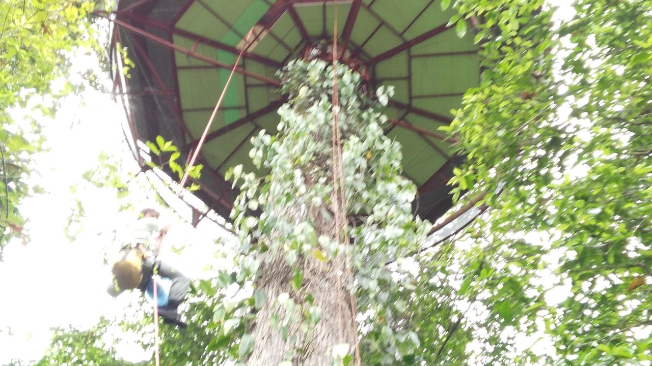 Photo of Outdoor in Manzanillo