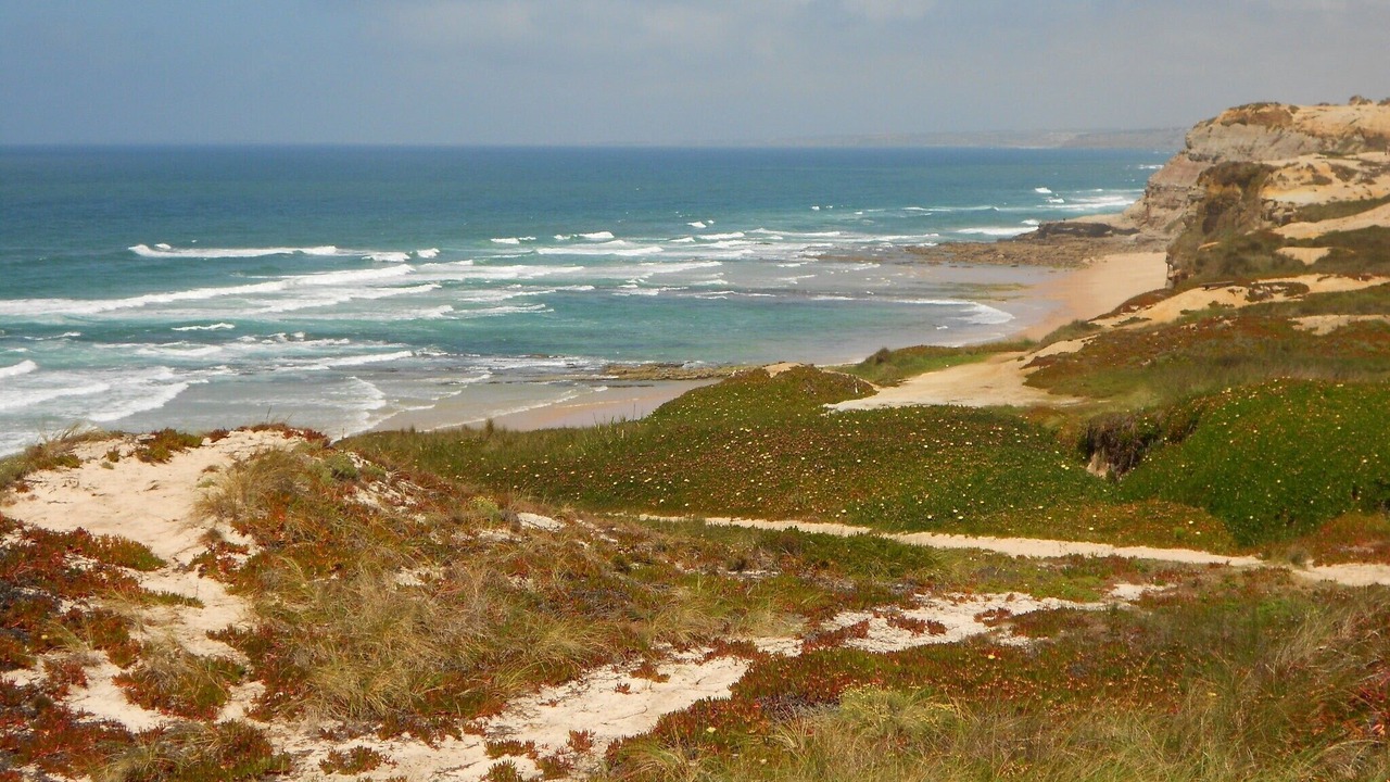 Photo of Others in Torres Vedras