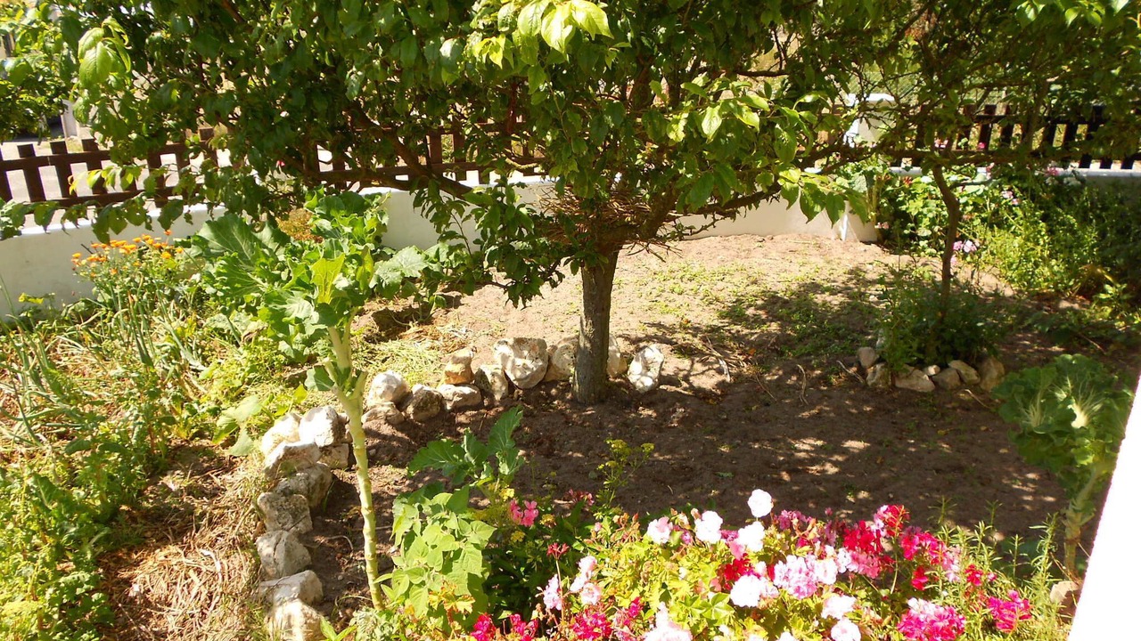 Photo of Others in Torres Vedras
