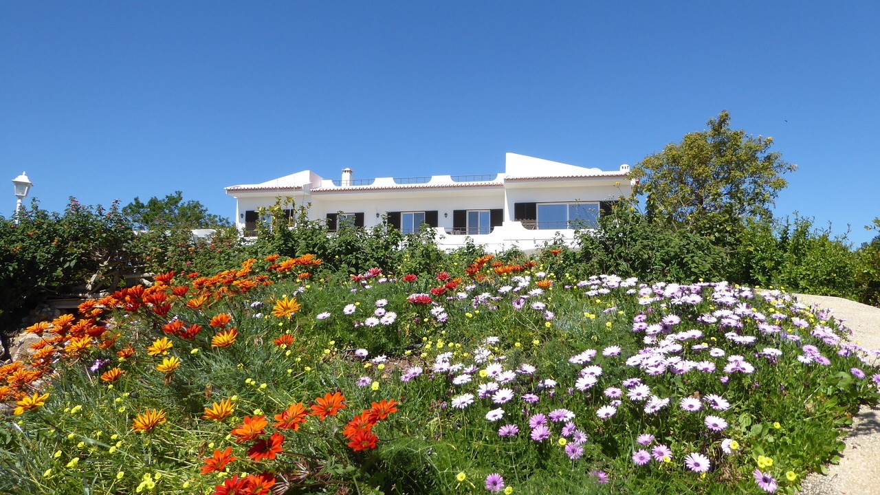 Photo of Outdoor in Vale da Lama