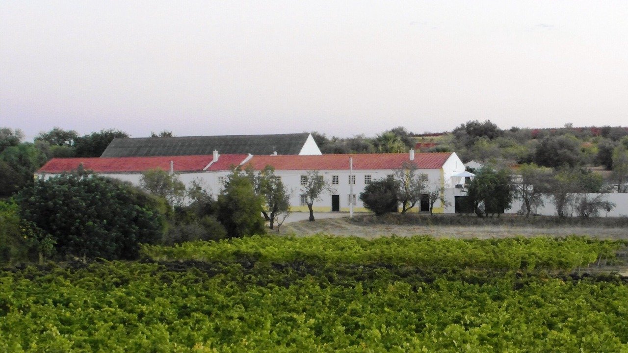 Photo of Outdoor in Lagoa e Carvoeiro