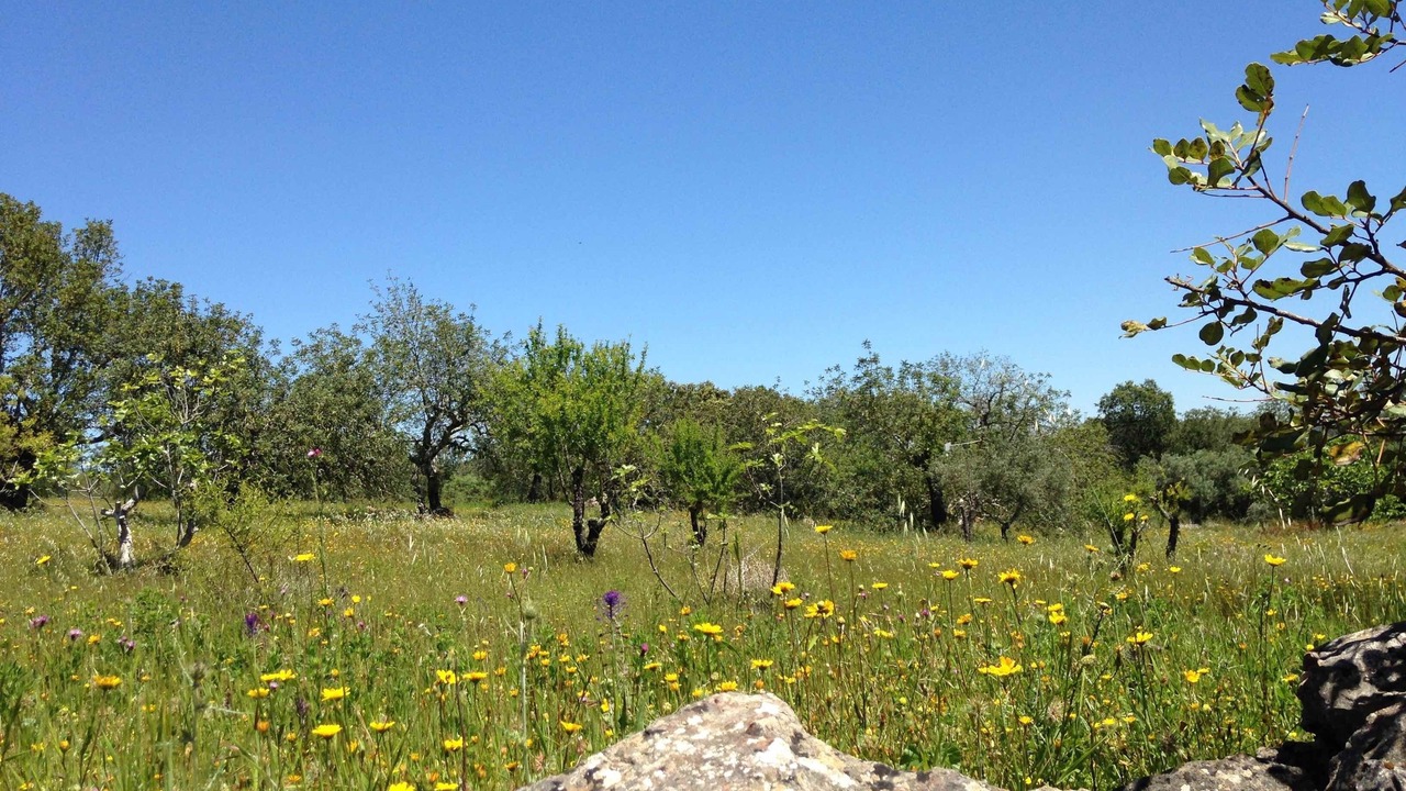 Photo of Outdoor in Sao Clemente