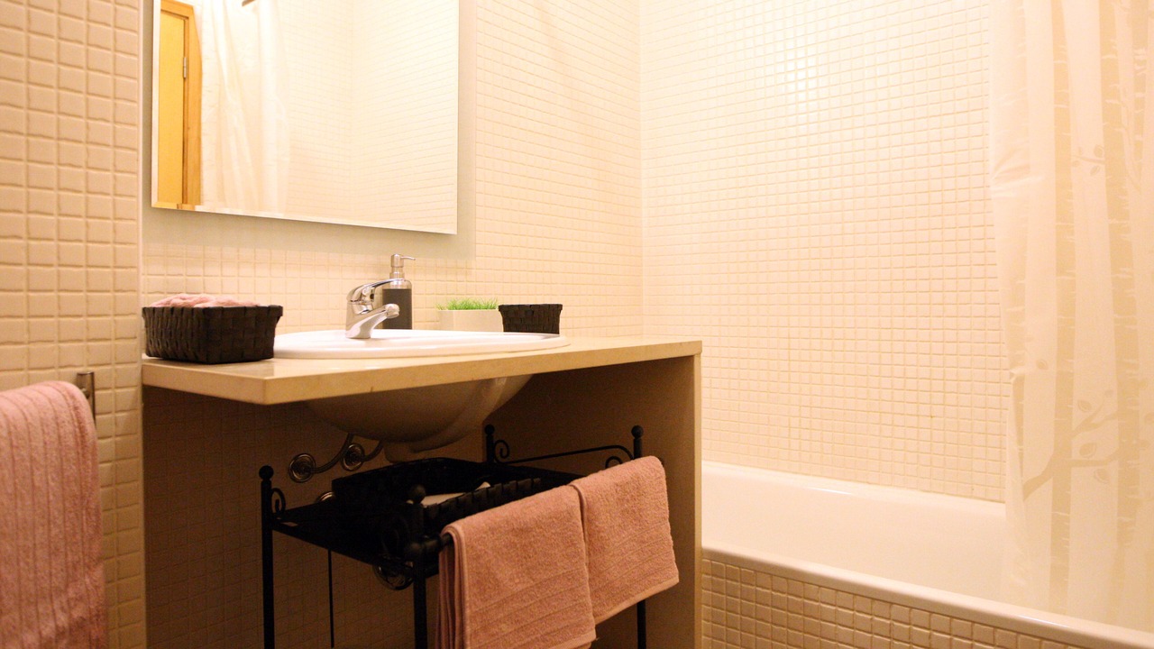 Photo of Bathroom in Centro / Baixa