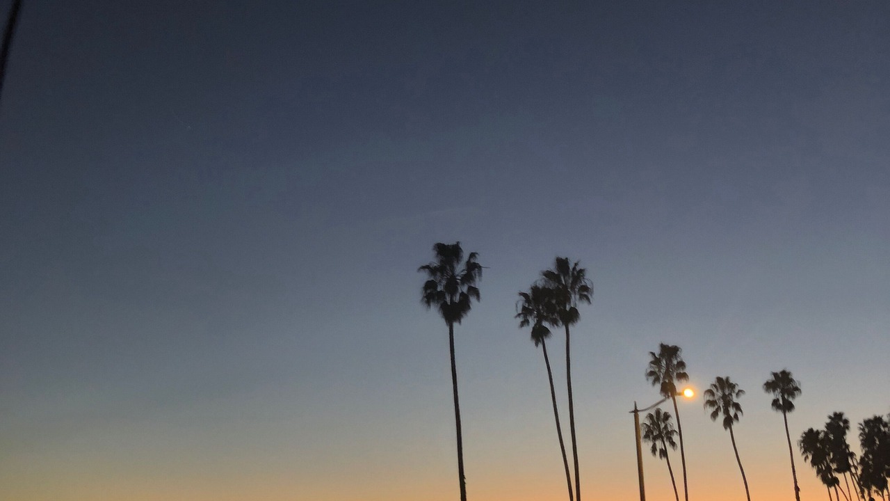 Photo of Others in Santa Barbara