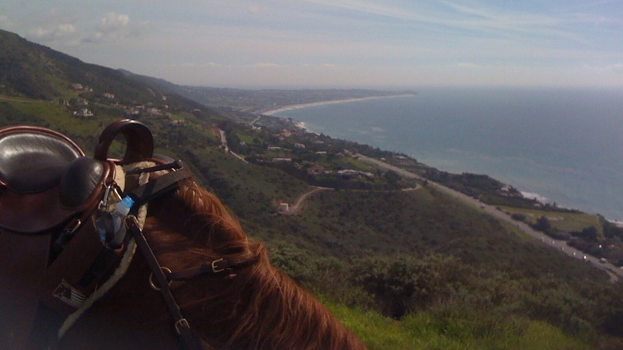 Photo of Others in Central Malibu