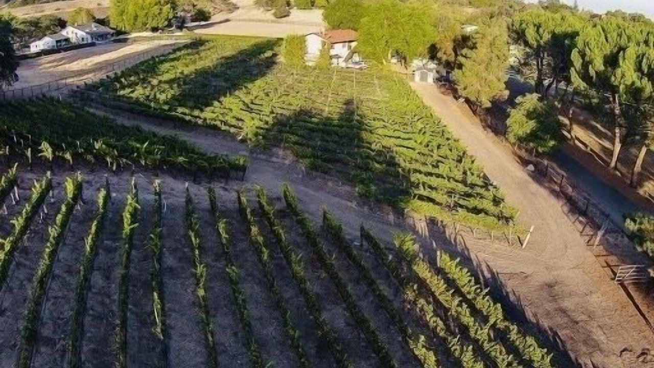 Photo of Others in Los Olivos
