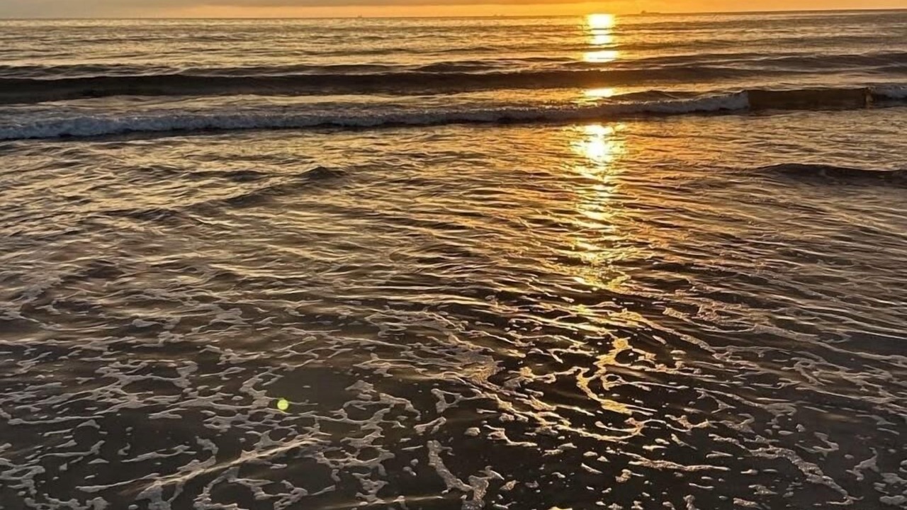 Photo of Others in West Newport