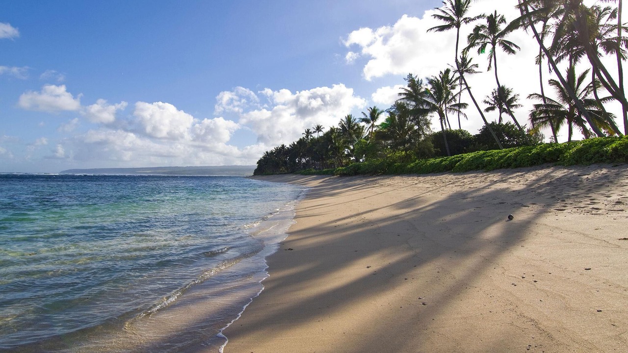 Photo of Others in Waialua