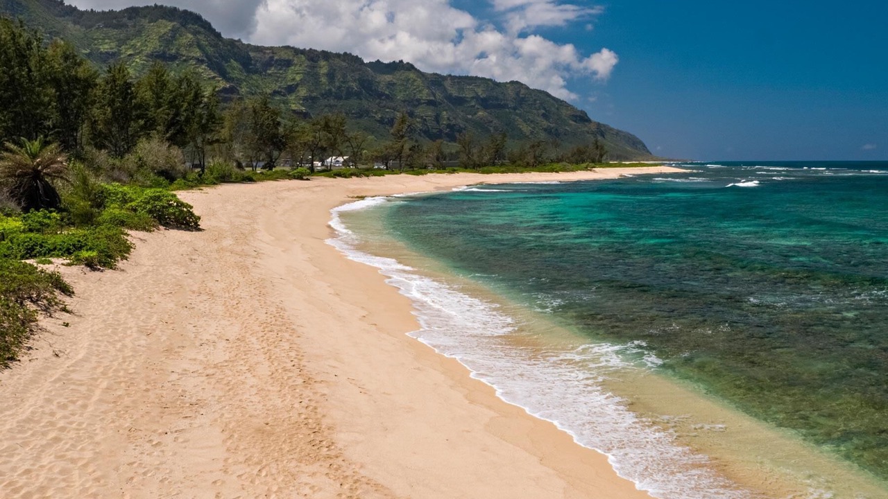 Photo of Others in Waialua