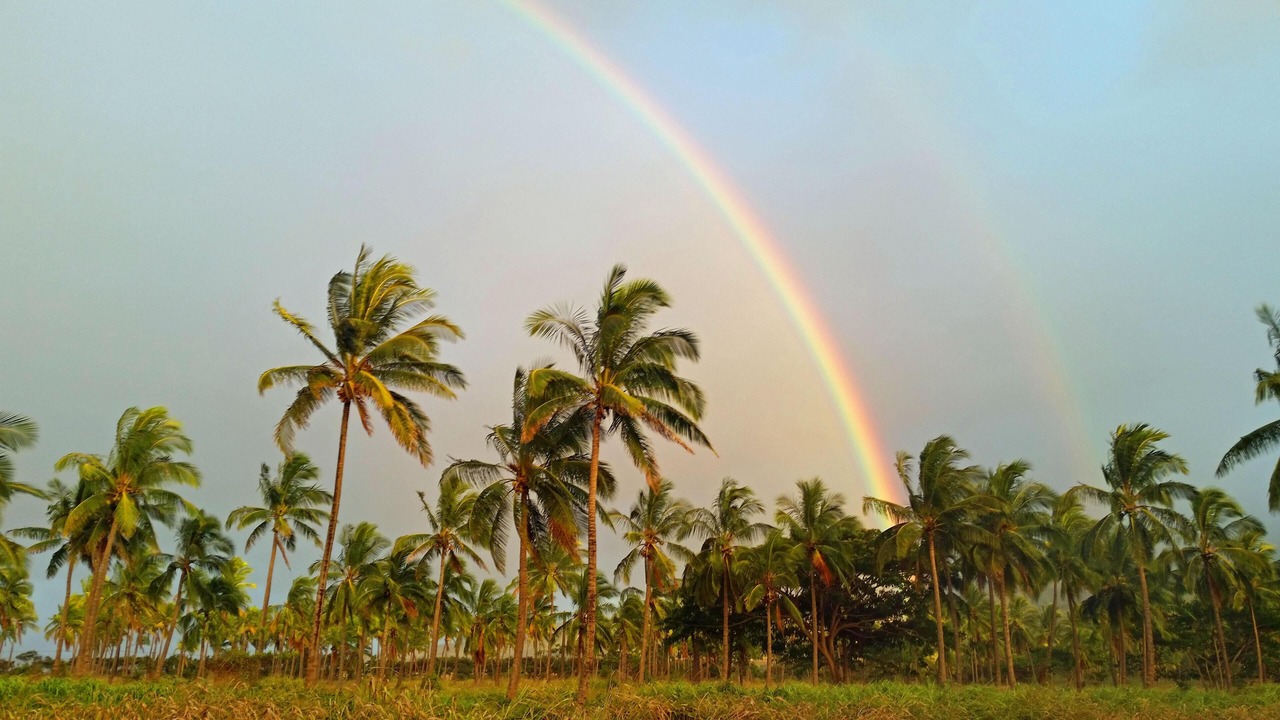 Photo of Others in Waialua