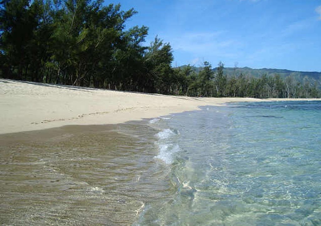 Photo of Others in Waialua
