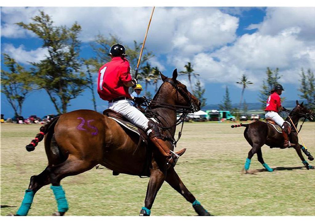 Photo of Others in Waialua