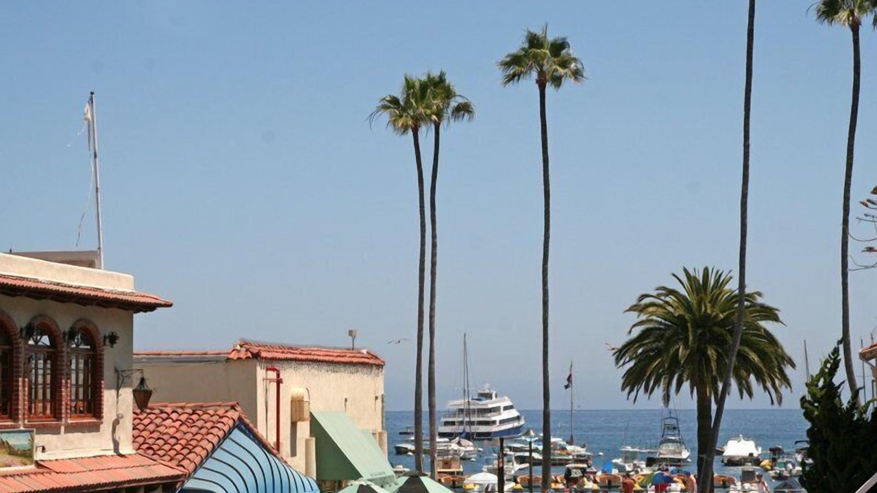 Photo of Others in Avalon