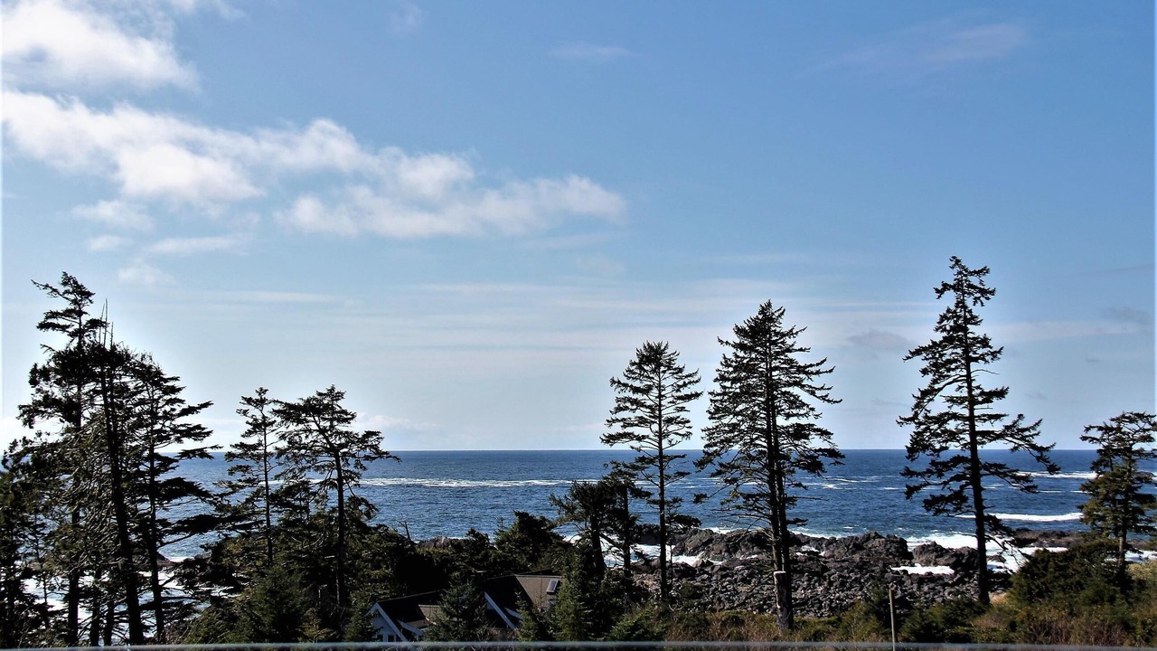 Photo of Others in Ucluelet