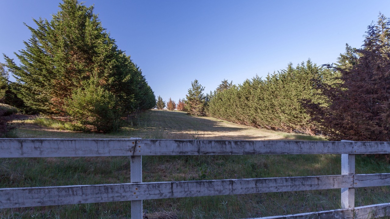 Photo of Outdoor in Callender