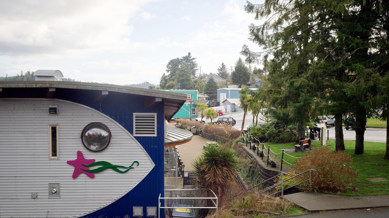 Photo of Outdoor in Ucluelet