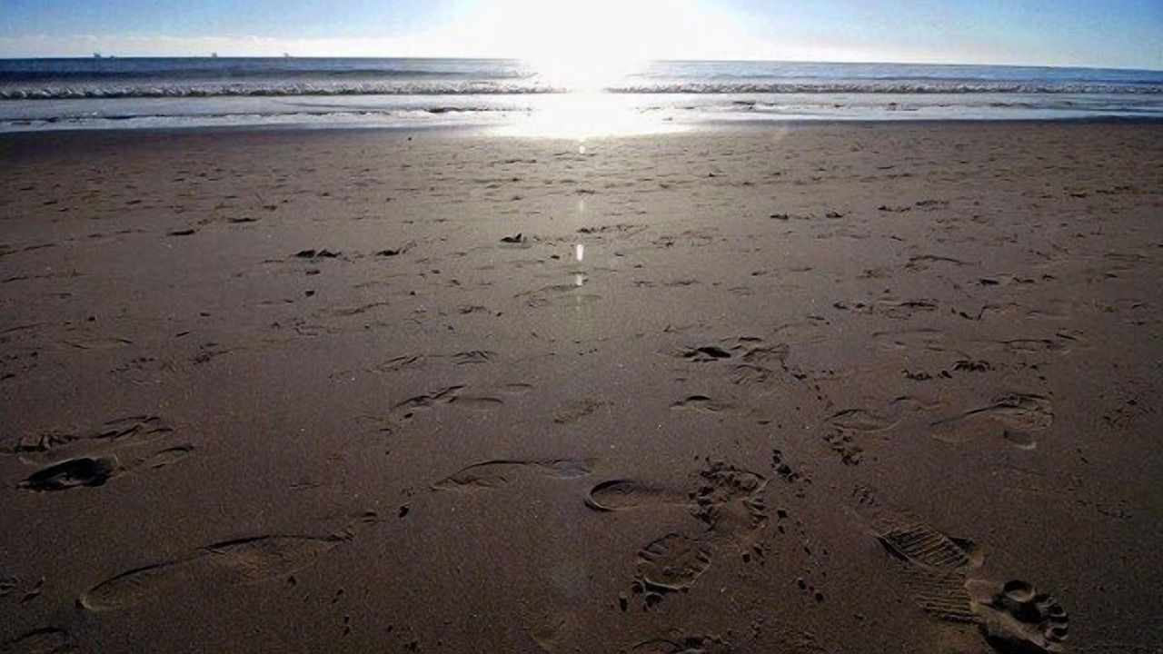 Photo of Others in Carpinteria